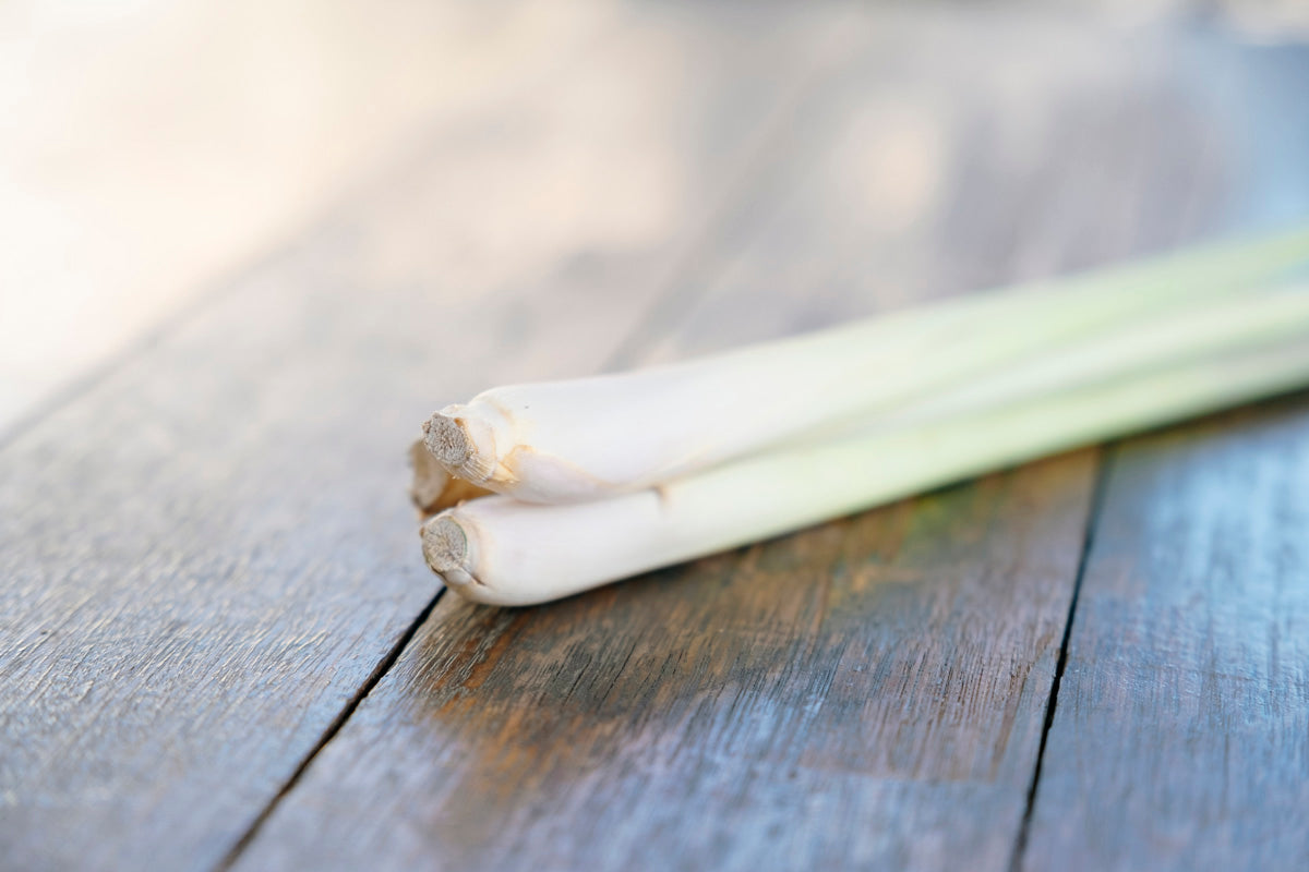 Spring Onion