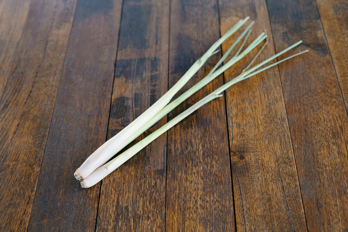 Spring Onion