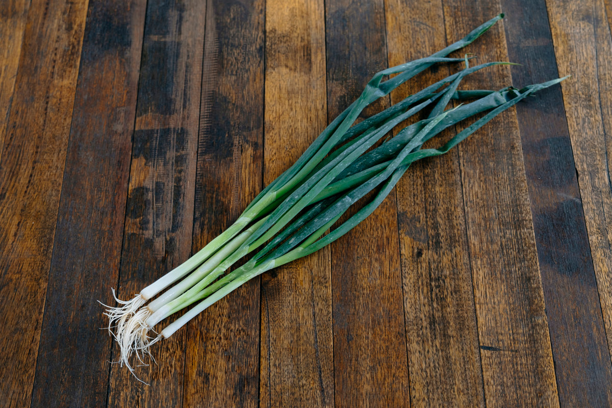 Spring Onion