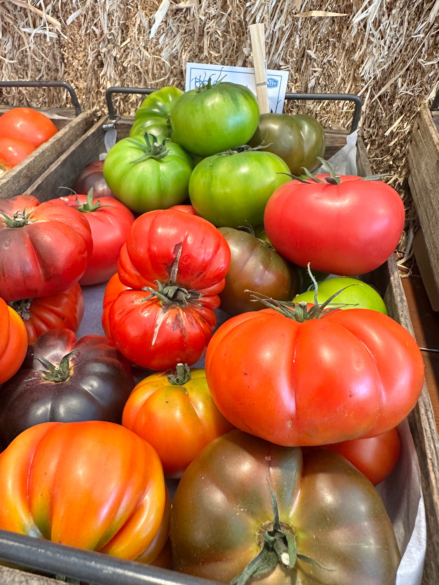 Organic Veggie Box
