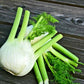 Fennel