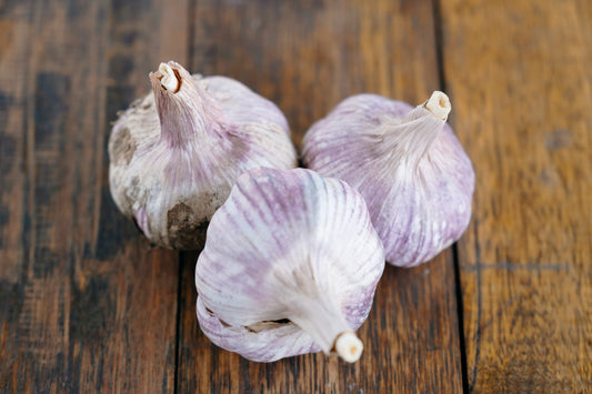 Garlic
