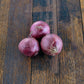 Onions Red