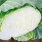 Cabbage