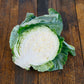 Cabbage