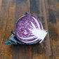 Cabbage