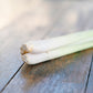 Spring Onion