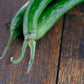 Chilli