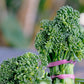 Broccolini