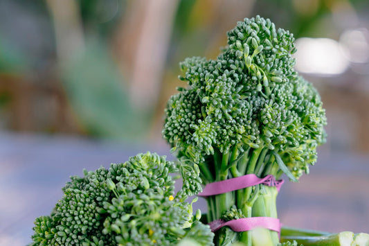 Broccolini