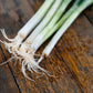 Spring Onion