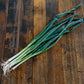 Spring Onion