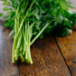 Fresh Flat Leaf Parsley