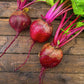 Beetroot