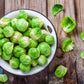 Brussel Sprouts